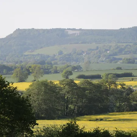 Chestnuts At Youlton *