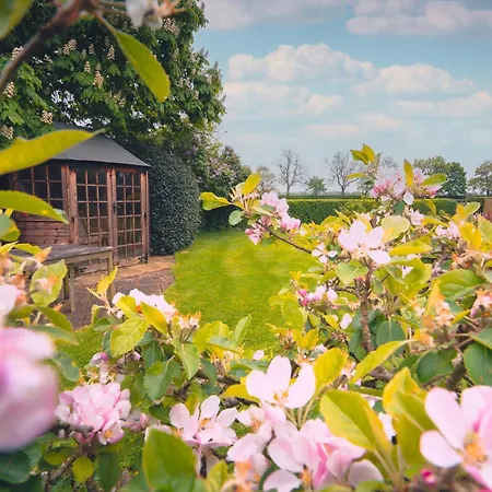 Chestnuts At Youlton * York