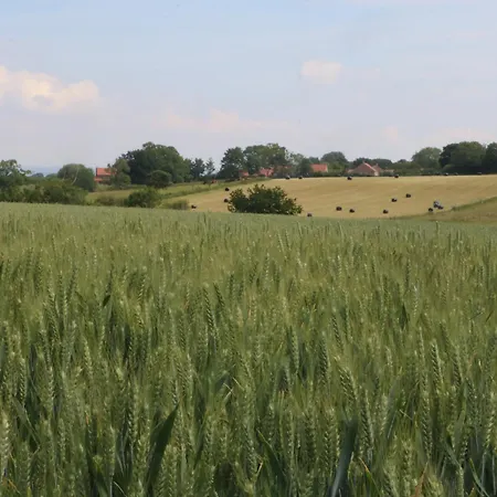 Holiday home Chestnuts At Youlton York