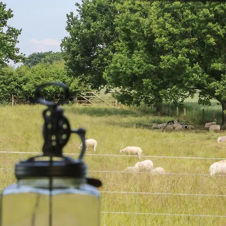 Chestnuts At Youlton * York